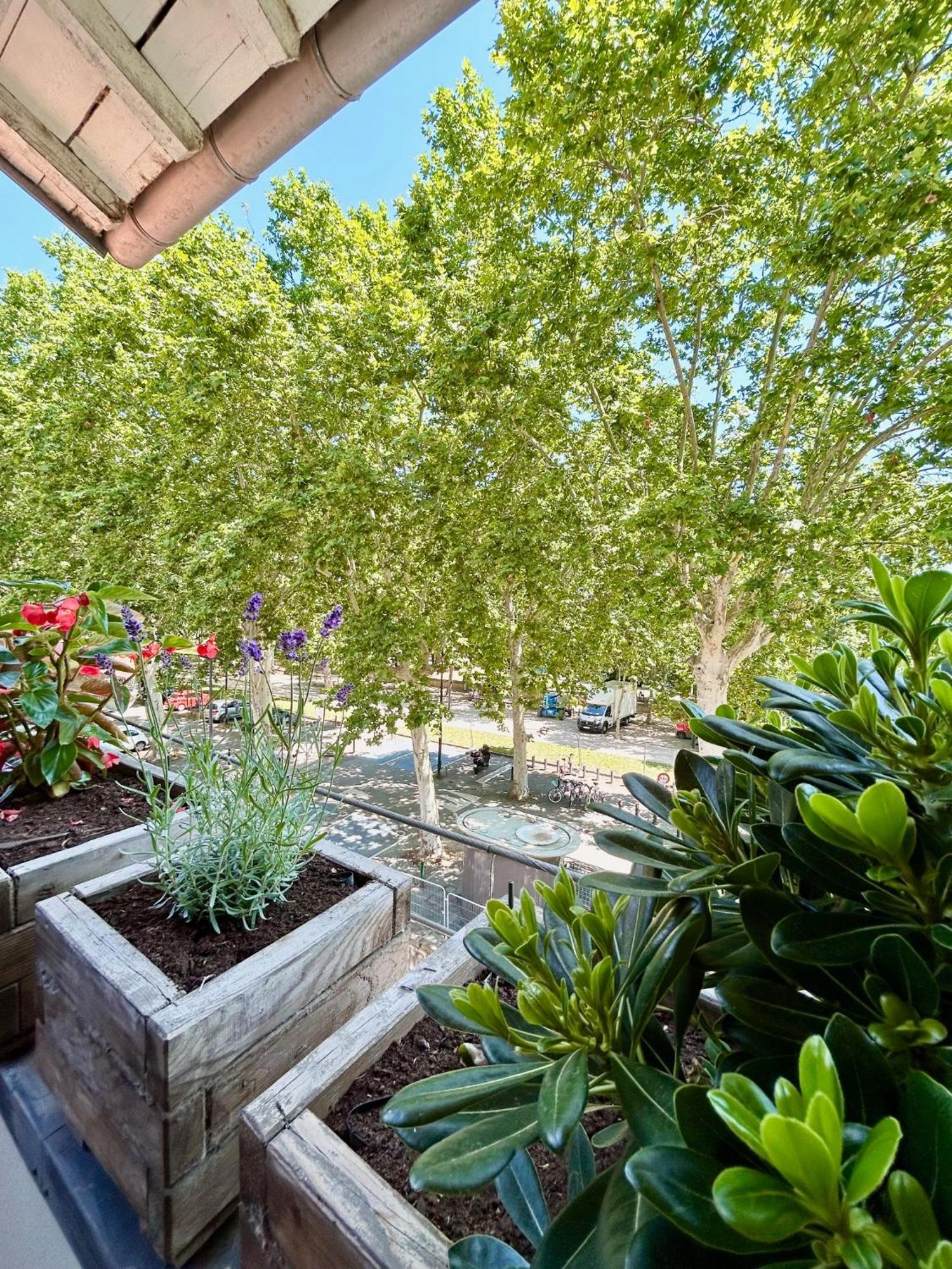 Loft Garonne - Centre Ville Immeuble Privatif Тулуза Екстериор снимка