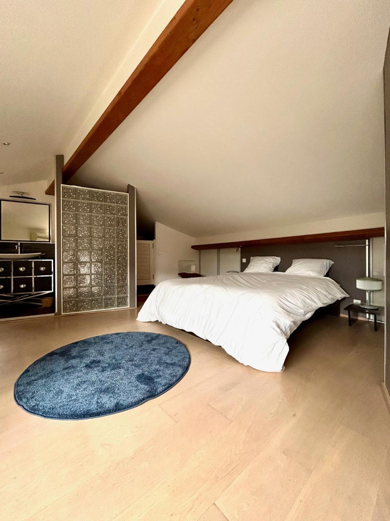 Loft Garonne - Centre Ville Immeuble Privatif Тулуза Екстериор снимка