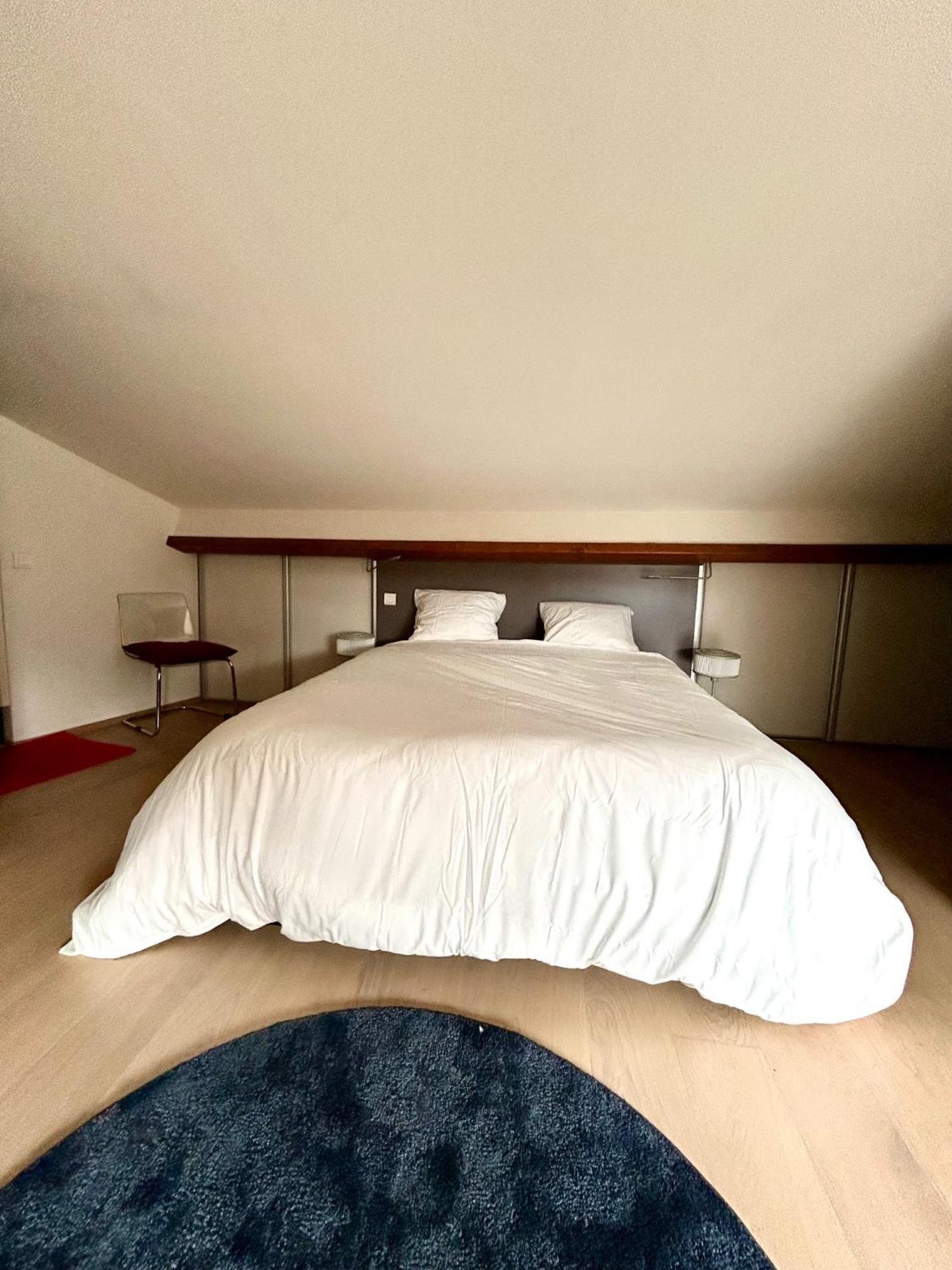Loft Garonne - Centre Ville Immeuble Privatif Тулуза Екстериор снимка
