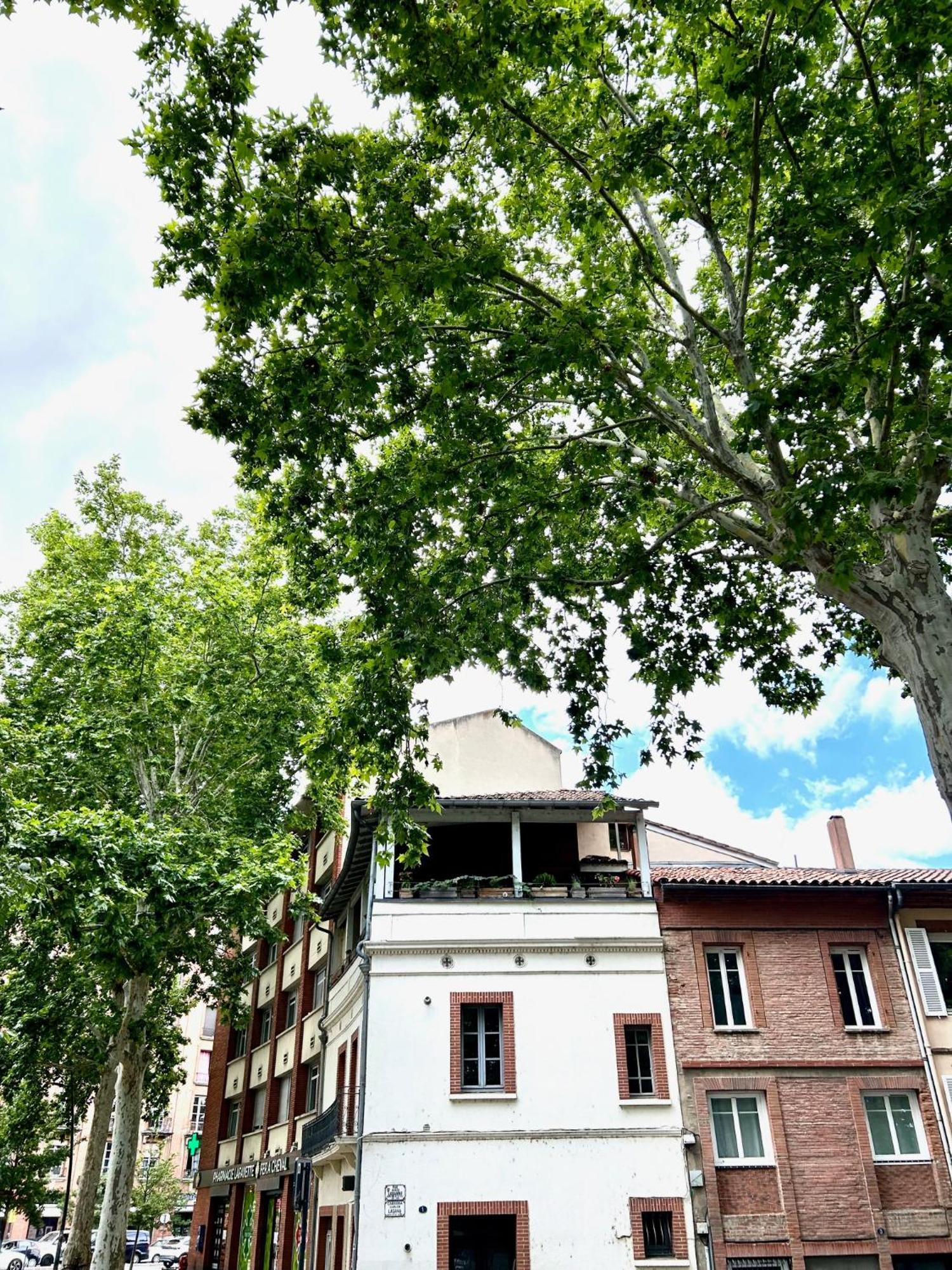 Loft Garonne - Centre Ville Immeuble Privatif Тулуза Екстериор снимка